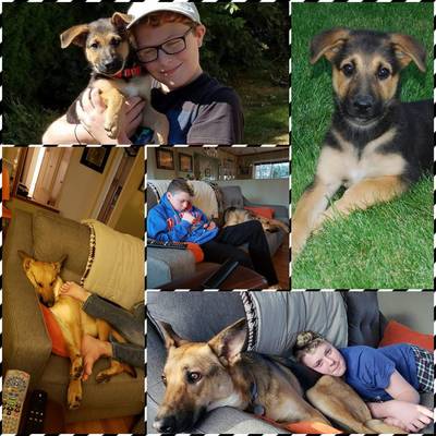 We adopted Daphne and renamed her Ruby back in August. She has become a loving member of our family. Thank you! The Nobbs Family
