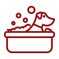 Foster a Pet