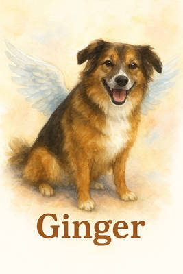 In memory of Ginger. Beloved pet of Lisa Picatti.